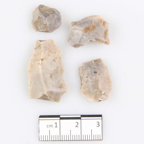 Landessammlungen Niederösterreich