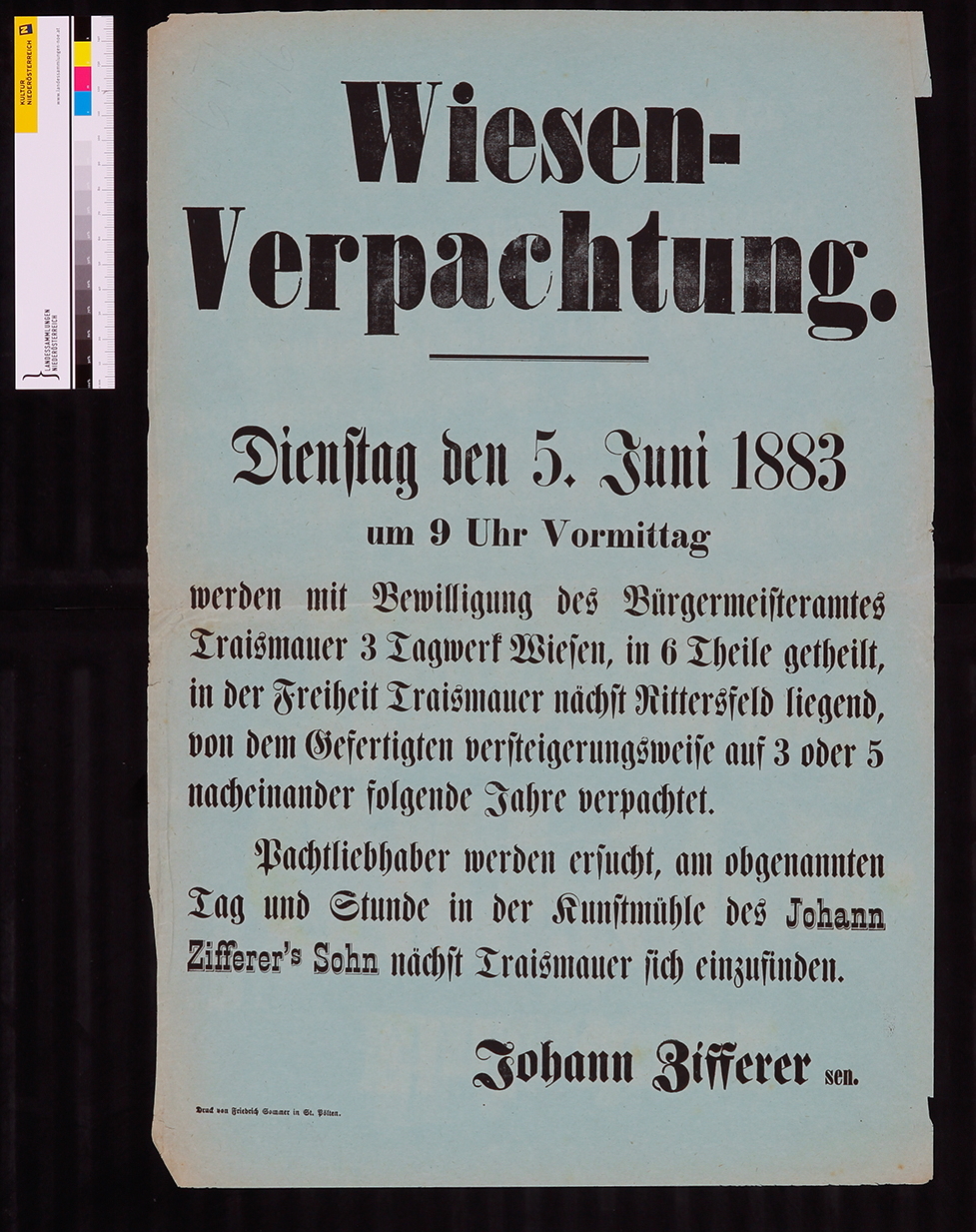 Ankündigung, Wiesenverpachtung Traismauer, Johann Zifferer, 5. Juni 1883.