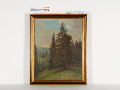 Landessammlungen Niederösterreich