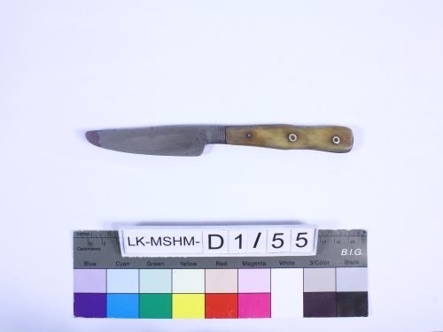 Landessammlungen Niederösterreich