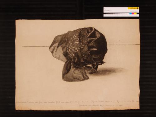 Landessammlungen Niederösterreich