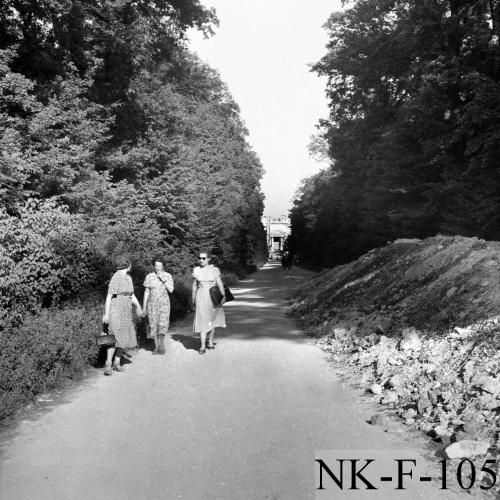 Landessammlungen Niederösterreich