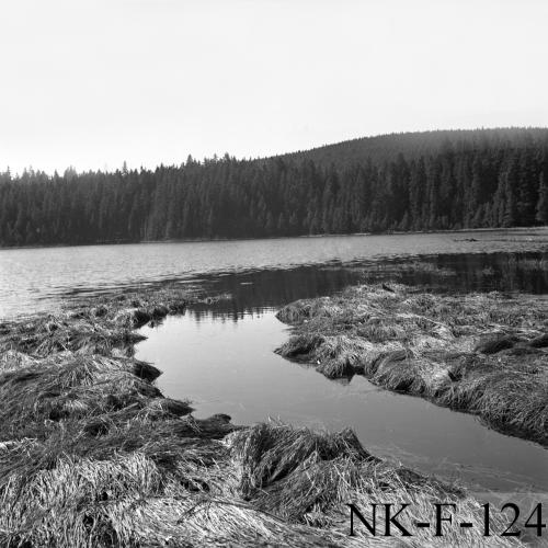 Landessammlungen Niederösterreich