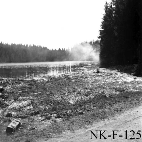 Landessammlungen Niederösterreich