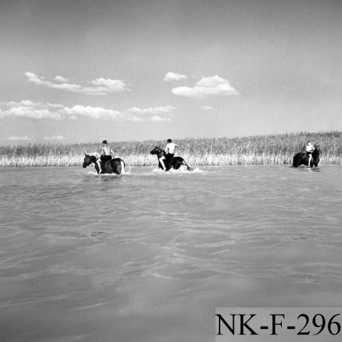 Landessammlungen Niederösterreich