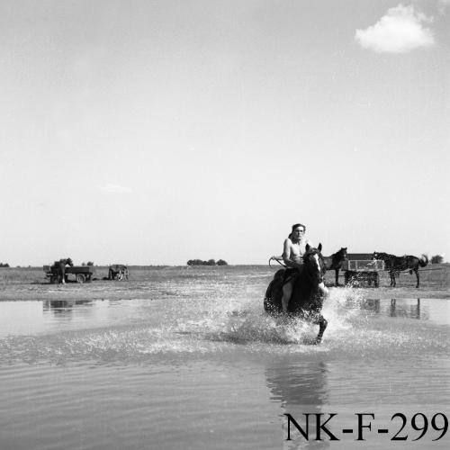 Landessammlungen Niederösterreich