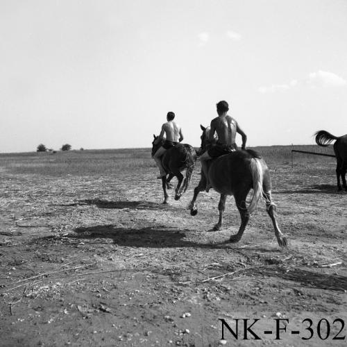 Landessammlungen Niederösterreich