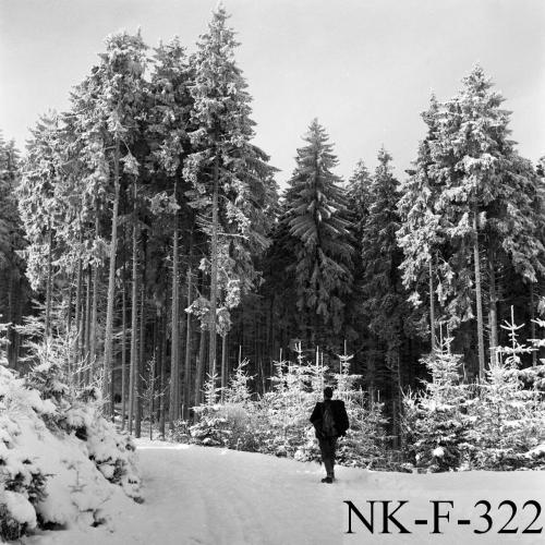 Landessammlungen Niederösterreich