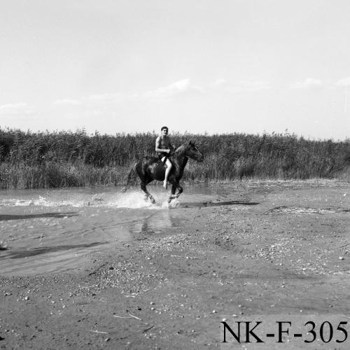 Landessammlungen Niederösterreich