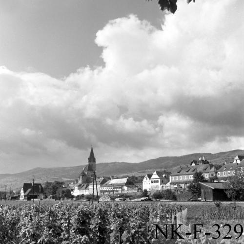Landessammlungen Niederösterreich