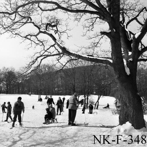 Landessammlungen Niederösterreich