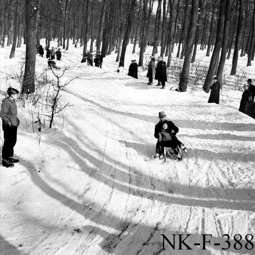 Landessammlungen Niederösterreich