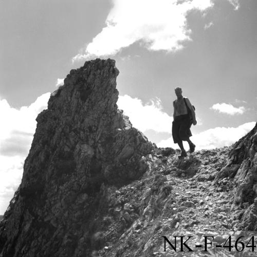 Landessammlungen Niederösterreich