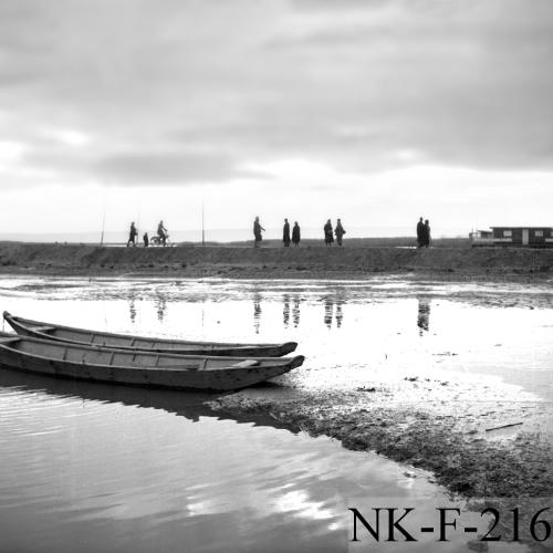 Landessammlungen Niederösterreich