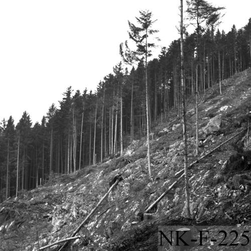 Landessammlungen Niederösterreich