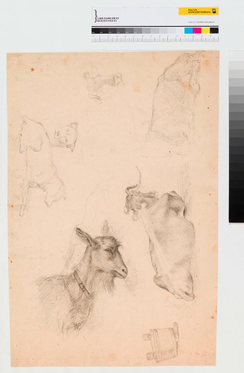 Landessammlungen Niederösterreich