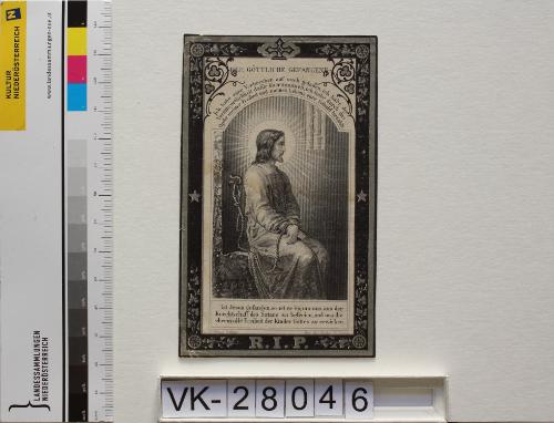 Landessammlungen Niederösterreich