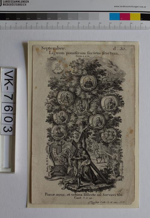 Landessammlungen Niederösterreich