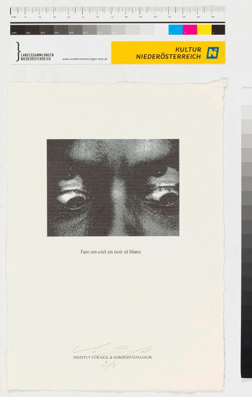 Landessammlungen Niederösterreich