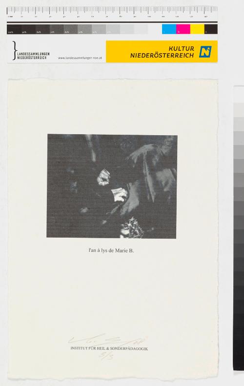 Landessammlungen Niederösterreich