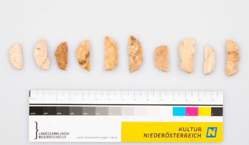 Landessammlungen Niederösterreich