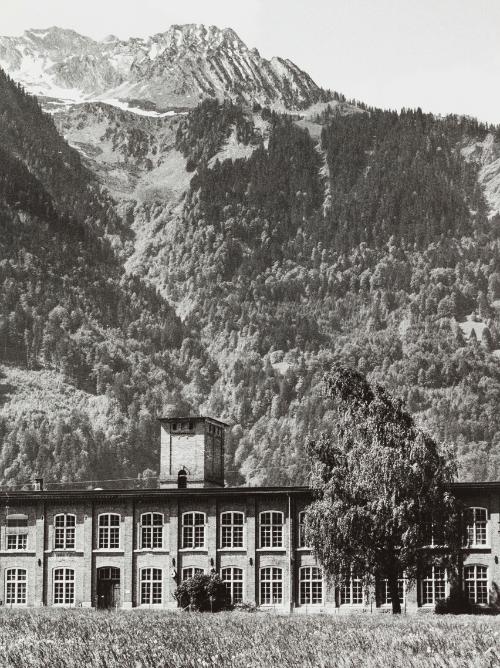 Landessammlungen Niederösterreich