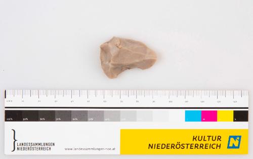 Landessammlungen Niederösterreich