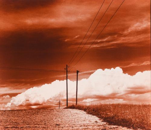 Landessammlungen Niederösterreich