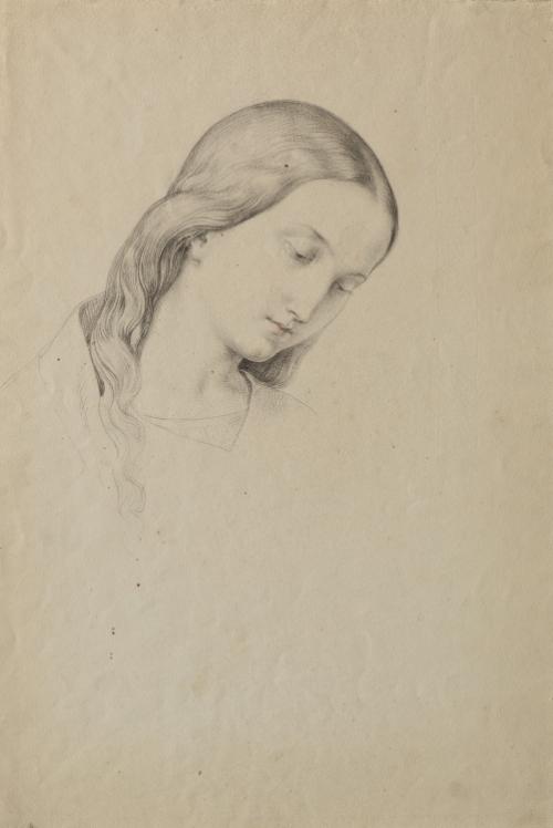 Landessammlungen Niederösterreich