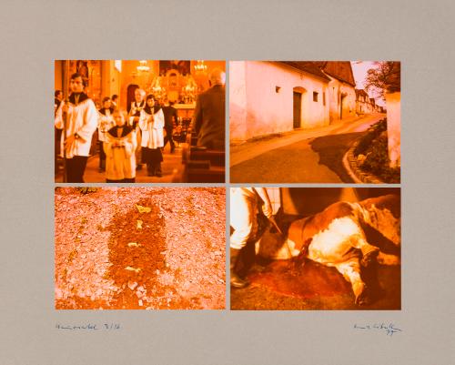 Landessammlungen Niederösterreich