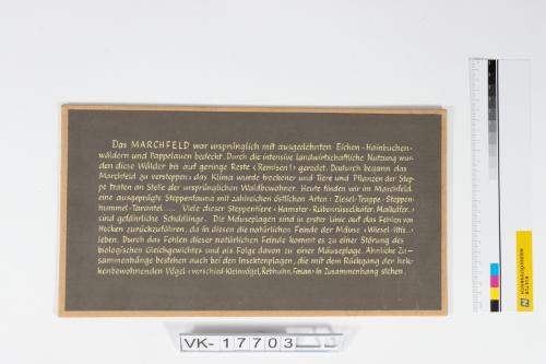 Landessammlungen Niederösterreich