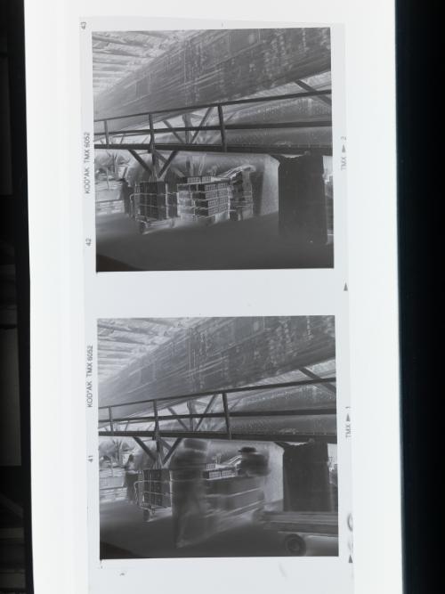 Landessammlungen Niederösterreich