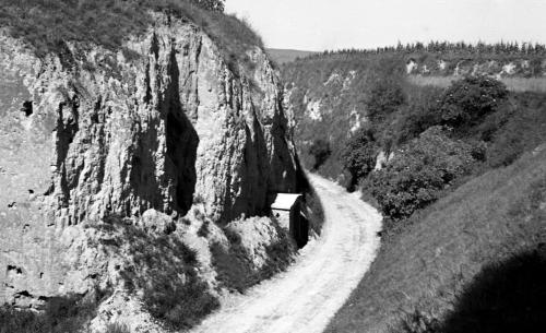 Landessammlungen Niederösterreich