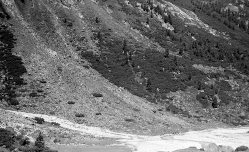 Landessammlungen Niederösterreich