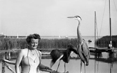 Landessammlungen Niederösterreich