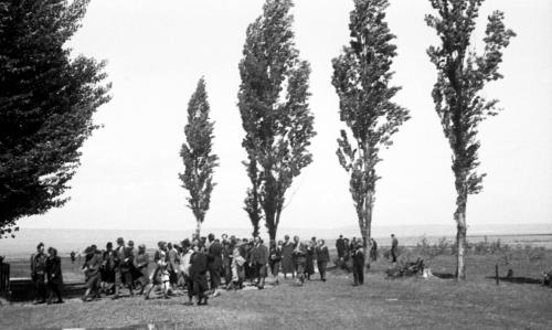 Landessammlungen Niederösterreich