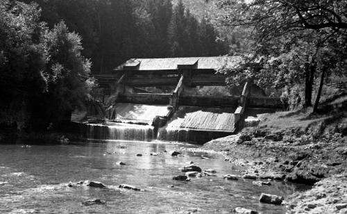Landessammlungen Niederösterreich