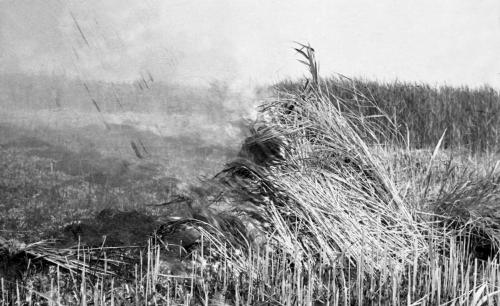 Landessammlungen Niederösterreich