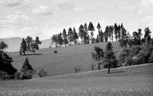 Landessammlungen Niederösterreich