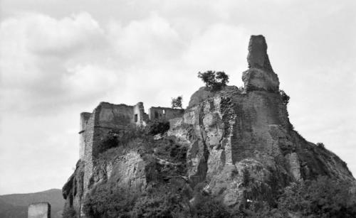Landessammlungen Niederösterreich