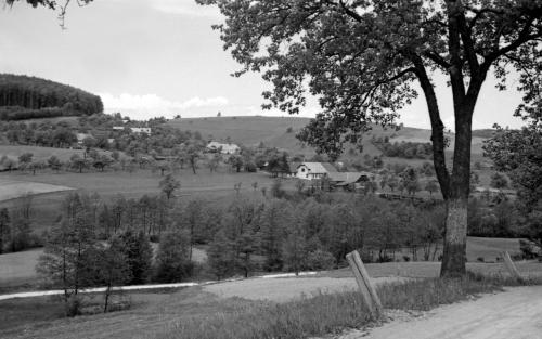 Landessammlungen Niederösterreich