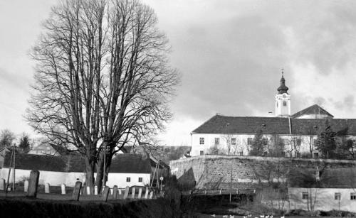 Landessammlungen Niederösterreich