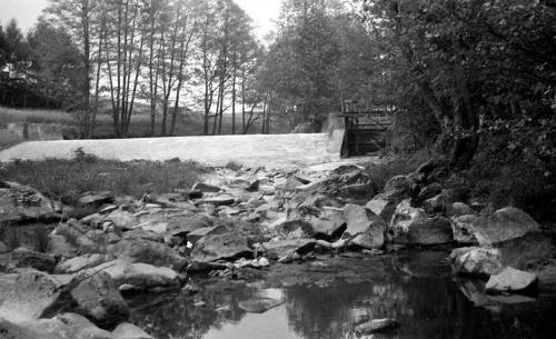 Landessammlungen Niederösterreich