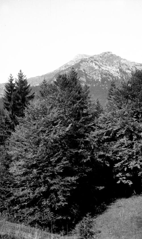 Landessammlungen Niederösterreich