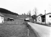 Landessammlungen Niederösterreich