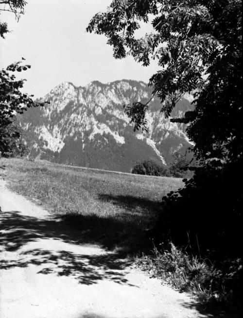 Landessammlungen Niederösterreich