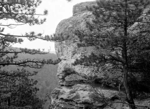 Landessammlungen Niederösterreich