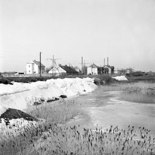 Landessammlungen Niederösterreich