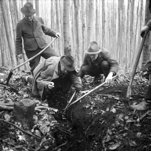 Landessammlungen Niederösterreich
