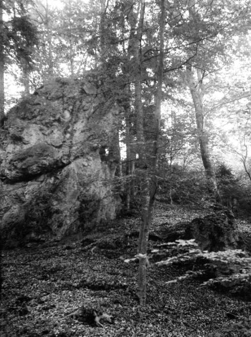 Landessammlungen Niederösterreich